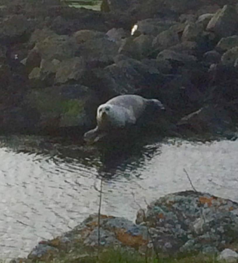 Burnside Lodge Portnahaven ภายนอก รูปภาพ