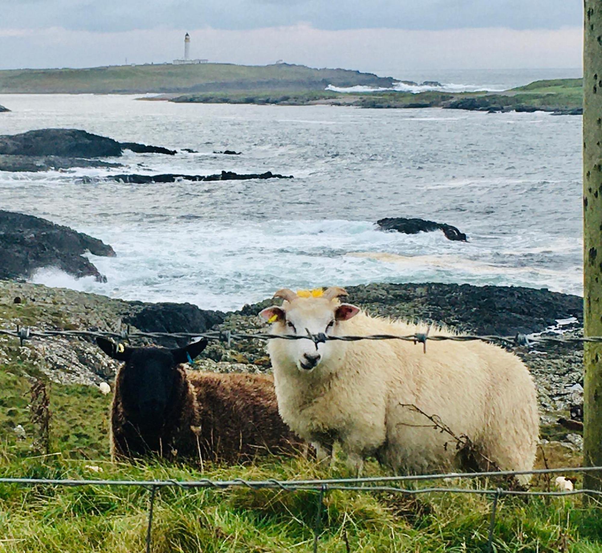 Burnside Lodge Portnahaven ภายนอก รูปภาพ